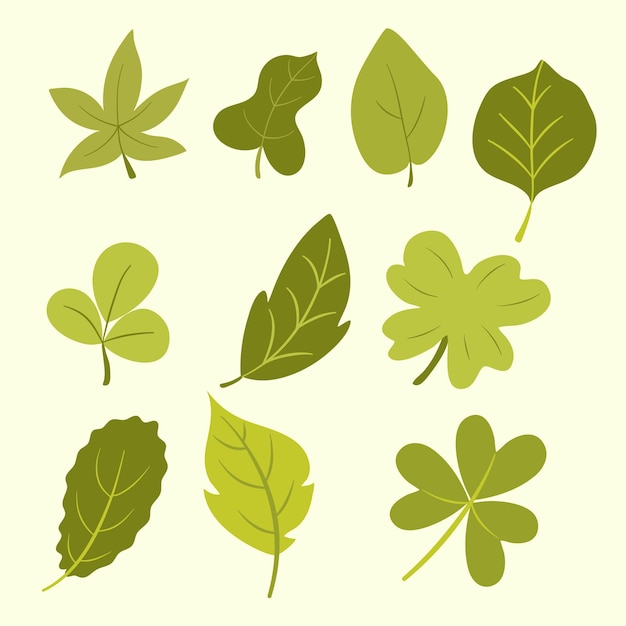 set of cute leaves