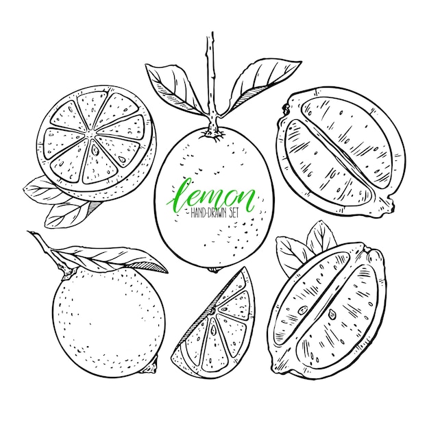 Vector set of cute lemons. hand-drawn illustration