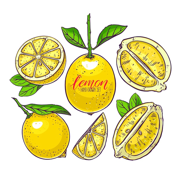 Set of cute lemons. hand-drawn illustration