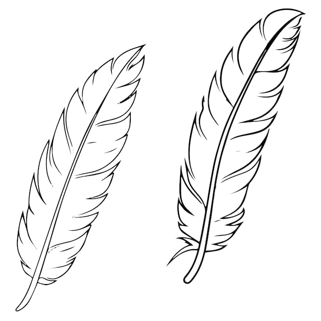 A set of cute line art Feather coloring page vector illustration