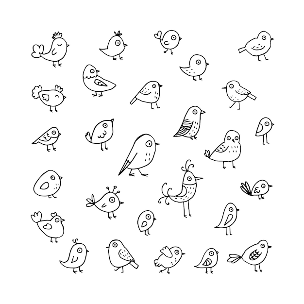 Set cute linear spring doodle birds. black and white illustration