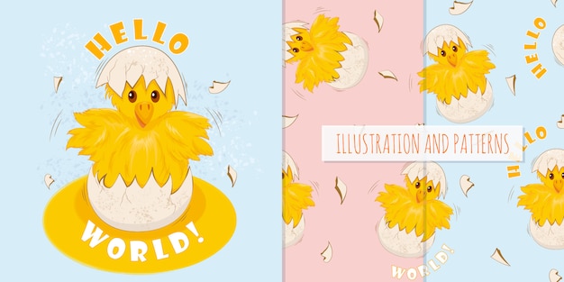Vector set of cute little chicken and patterns