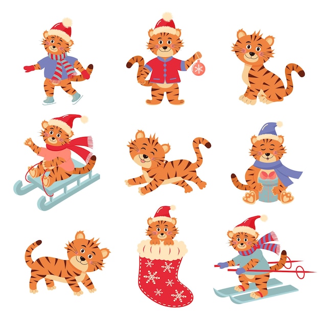Set of cute little tiger characters in different poses. Animal holidays cartoon character.