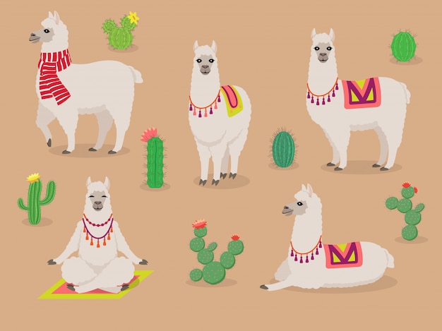 Vector set of cute llamas in different poses, desert with cactus