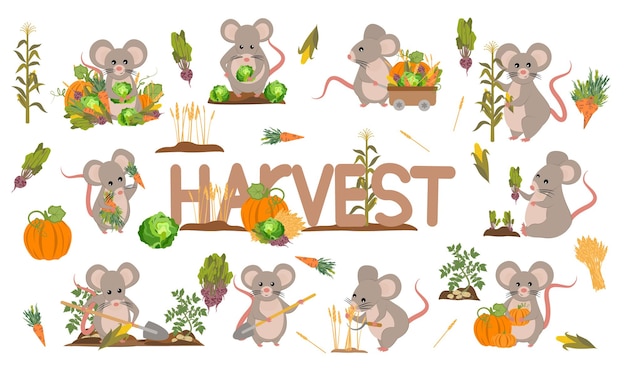 A set of cute mice harvest vegetables and cereals