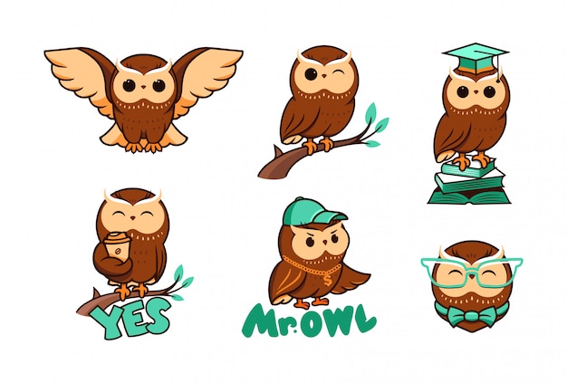 Vector set of cute owls. collection logos