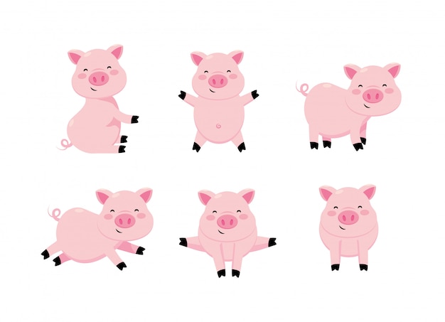 Set cute pig wild animal character