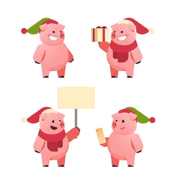 Set cute pigs for chinese new year for christmas