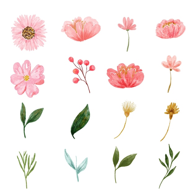 set of cute pink floral with greenery watercolor digital hand drawing