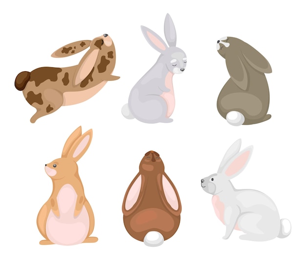 Vector set of cute rabbits in cartoon style