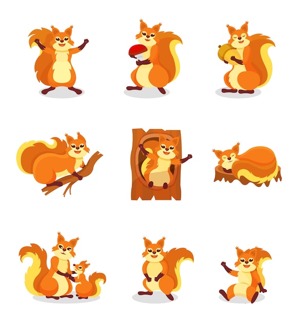 Vector set of cute red squirrel in different actions waving paw sitting on branch sleeping on tree stump holding mushroom and acorn small forest rodent wild animal isolated flat vector illustrations