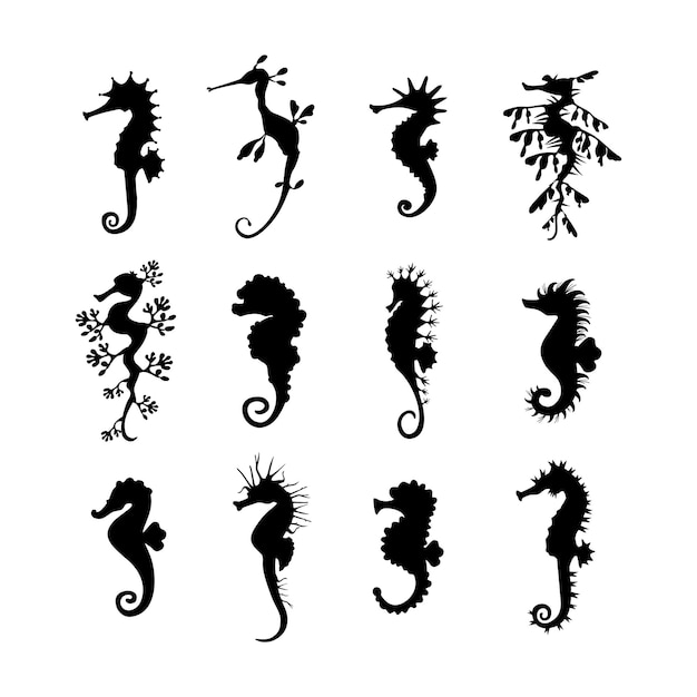 Set cute seahorses icons. black seahorses with different silhouette on white background. for festive card, logo, children, pattern, tattoo, decorative, creative concept. vector illustration.