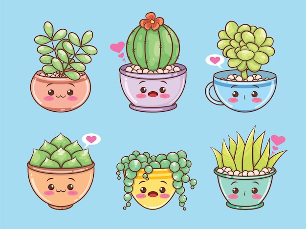 set of cute succulents plant love concept. cartoon character and illustration