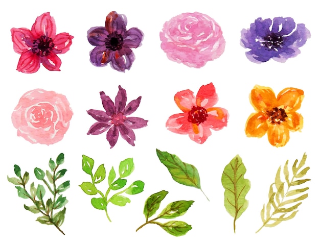 a set of cute summer flower and leaf watercolor