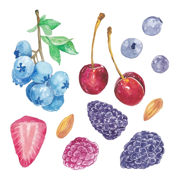 Vector set of cute watercolor berries fruit, cherry, blackberry, gooesberry, strawberry