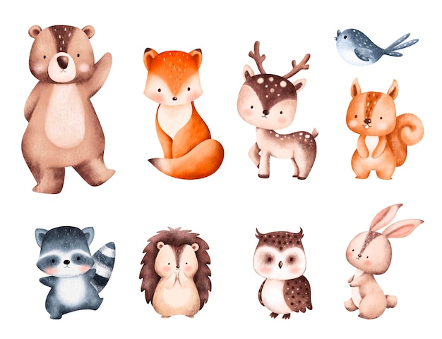 Vector set of cute woodland animals illustration