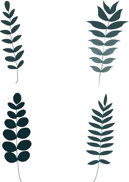 Set of dark green leaves