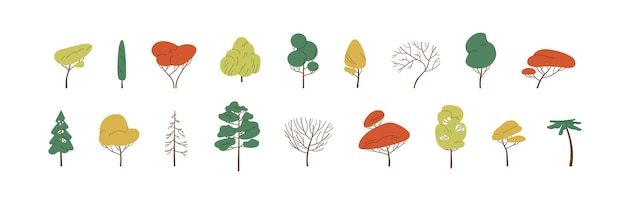 Set of deciduous and evergreen forest plants. Botanical collection of bare trees and ones with leaves and lush yellow, green and orange crowns. Colorful flat vector illustration on white background.