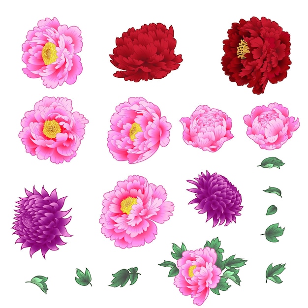 Vector set decoratieve bloemen in chinese stijl