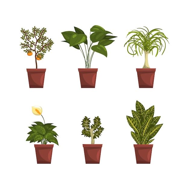 Set decoratieve planten in potten Huis- of kantoorplant interieurontwerp vectorillustratie