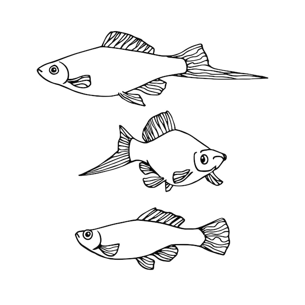 A set of decorative aquarium fishes swordtails Vector illustration in black ink