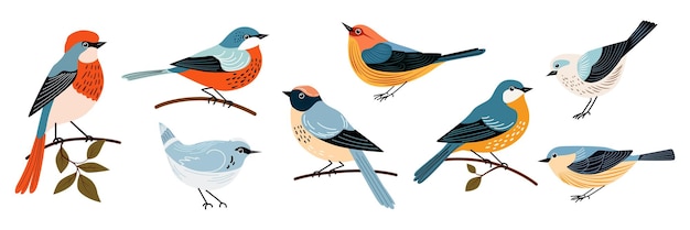 Set di uccelli decorativi a mano disegnati in stile piatto