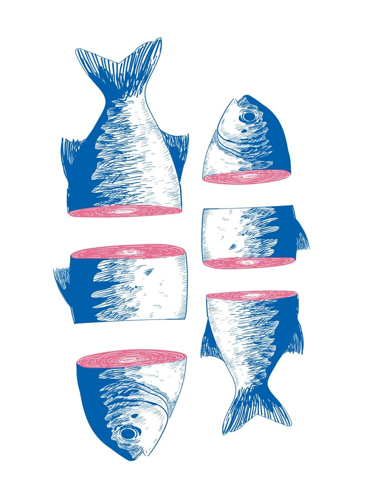 Vector set of decorative fish drawing hand drawning vector illustration black and white salmon fish