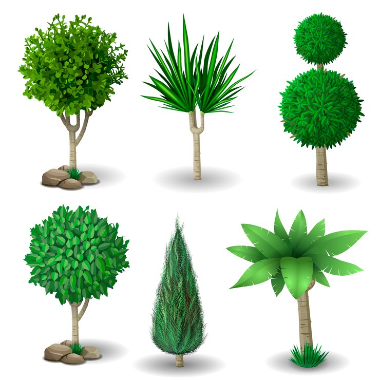 Vector set of decorative plants