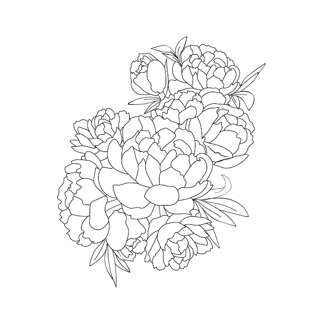 Set of a decorative stylized peony flower isolated on white background. Highly detailed vector.