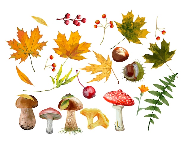 Set decorelementen herfst esdoorn bladeren paddestoelen