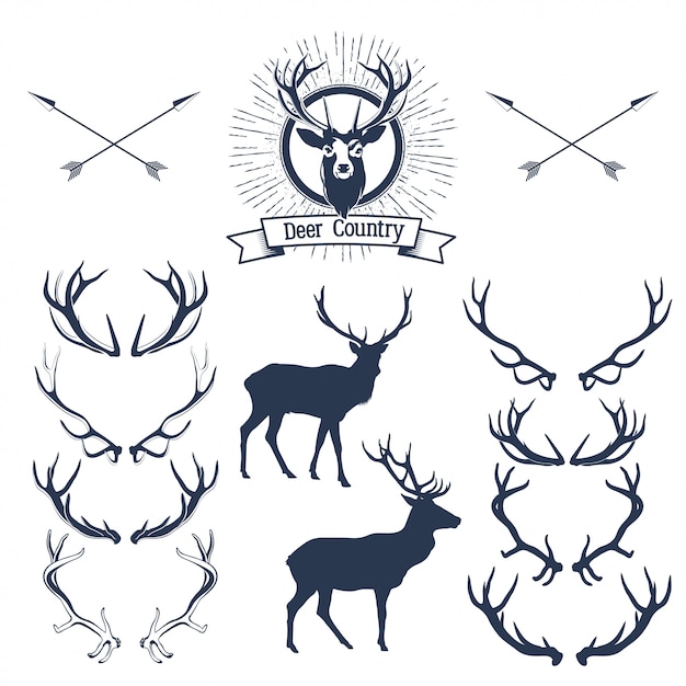 Vector set of deers  silhouette, deer head and antlers.  illustration