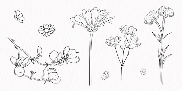 Set di tipo deferente di fiori linea disegno clipart