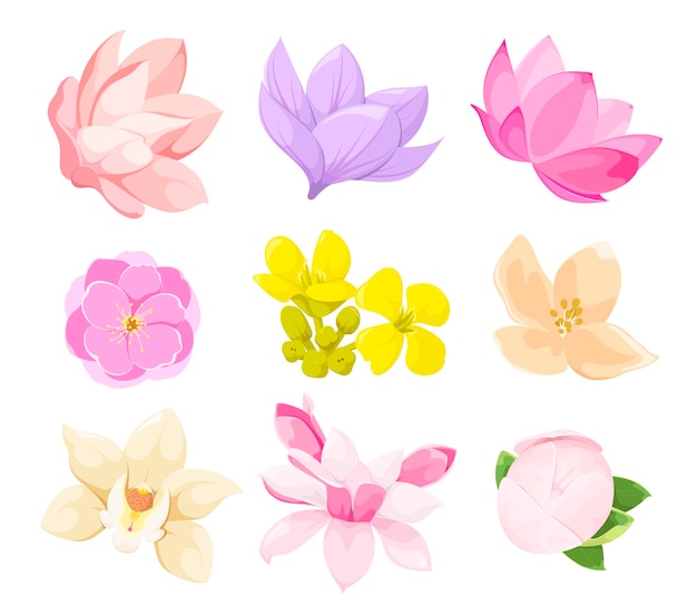 A set of delicate flowers on a white background. cartoon design.