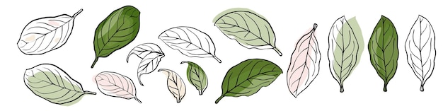 набор нежных сиреневых листьев на белом фоне