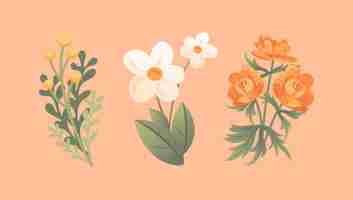 Vector set of delicate spring wildflowers trollius immortelle chamomile in cartoon style peach fuzz color