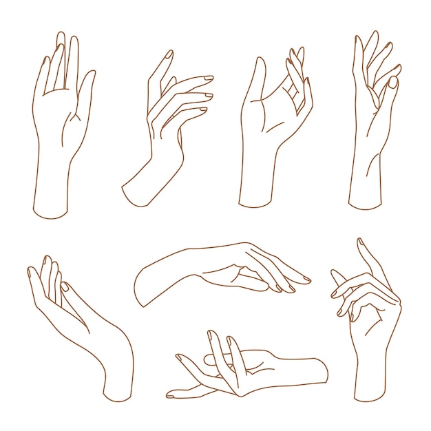 Premium Vector  Female hands elegant arms with wrists and fingers