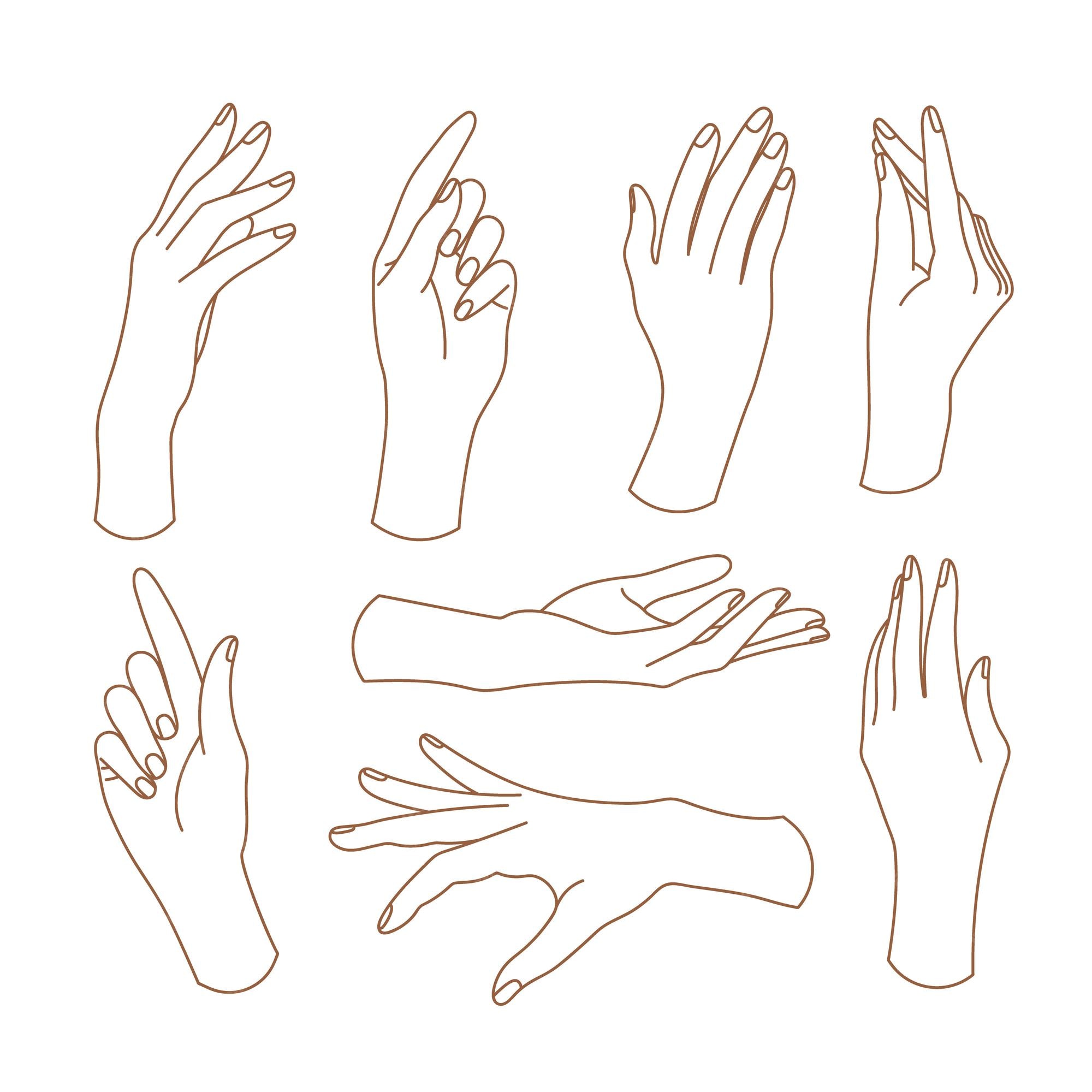 Premium Vector | Set of delicate womens hand in linear style Premium Vector | Set of delicate womens hand in linear style