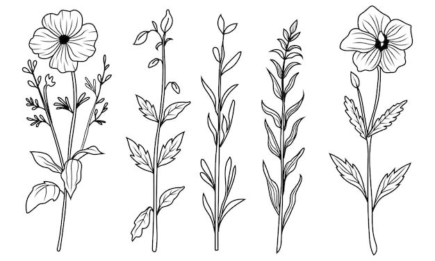 Vector set of delicately illustrated plant life a curated collection of handdrawn flowers