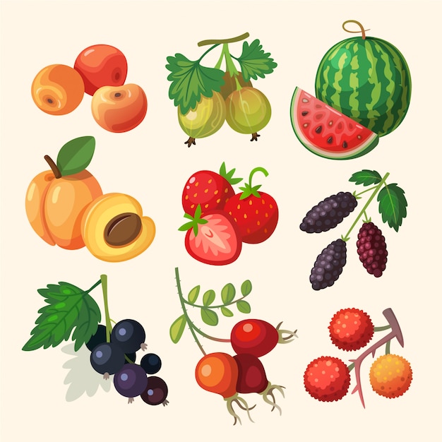 Набор вкусных ягод. Изолированные на белом фоне иллюстрации