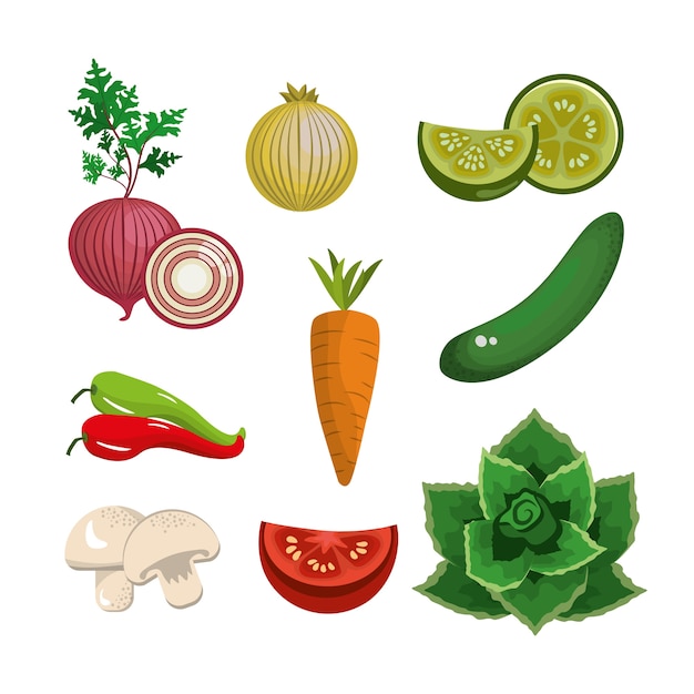 Vector set delicious fresh healthy vegetable