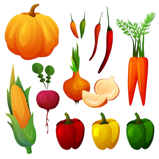 Vector set of delicious vegetable vivid color