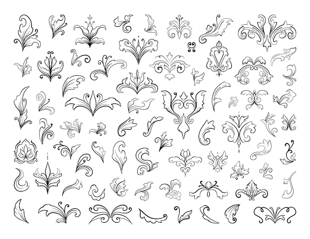 Set of detailed decorative patterns from plant leaves