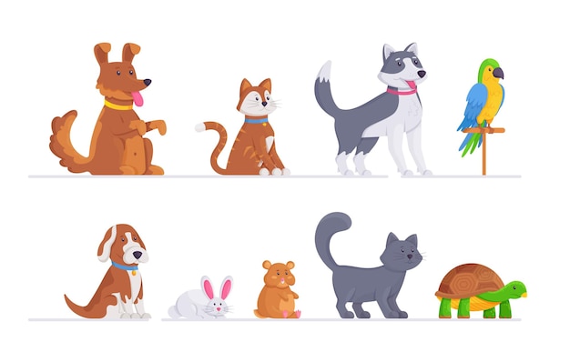 A set of different animals Vector illustration of cats dogs hamster parrot and other pets