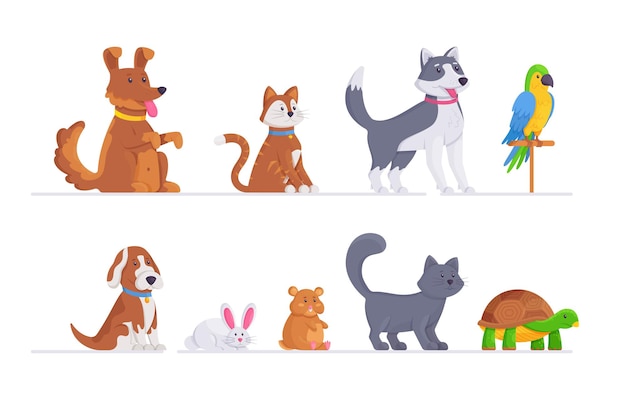 A set of different animals vector illustration of cats dogs hamster parrot and other pets