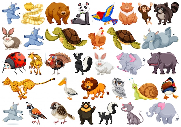 Set of different animals