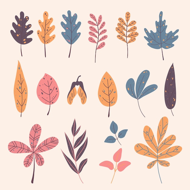 Set of different autumn leaves in extraordinary palette