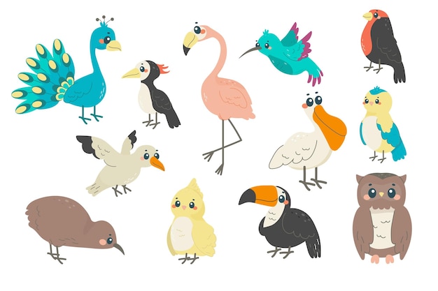 set of different birds a childish illustration with names spring exotic birds