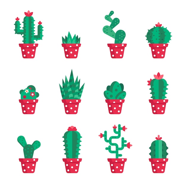 Set of different cactuses