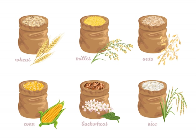 Vector set of different cereal grains in bags.