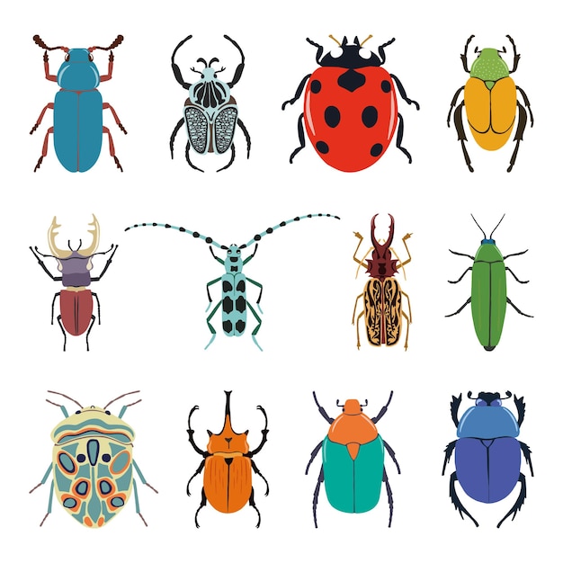 Vector set of different colored beetles